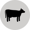 Grass-fed beef  liver powder
