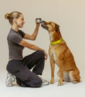 Inner Stellar™ Daily Itch Relief for Dogs