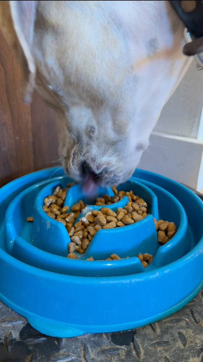 Dummy Product for skio integration