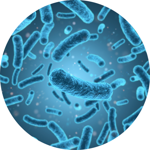 Proprietary Probiotics