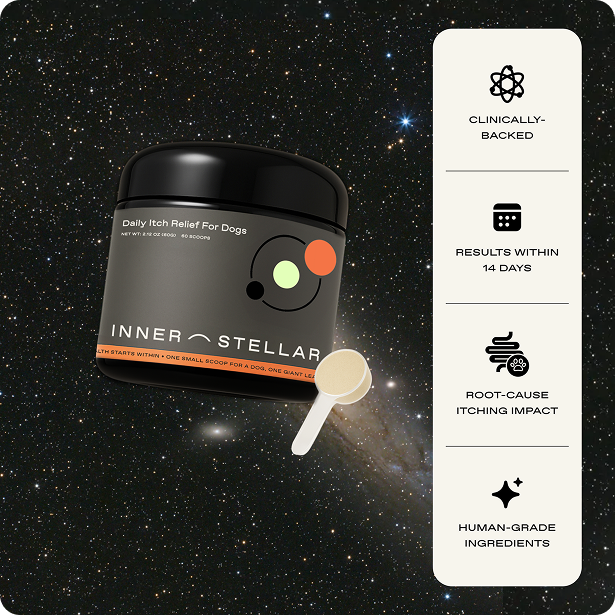 Dummy Product for skio integration